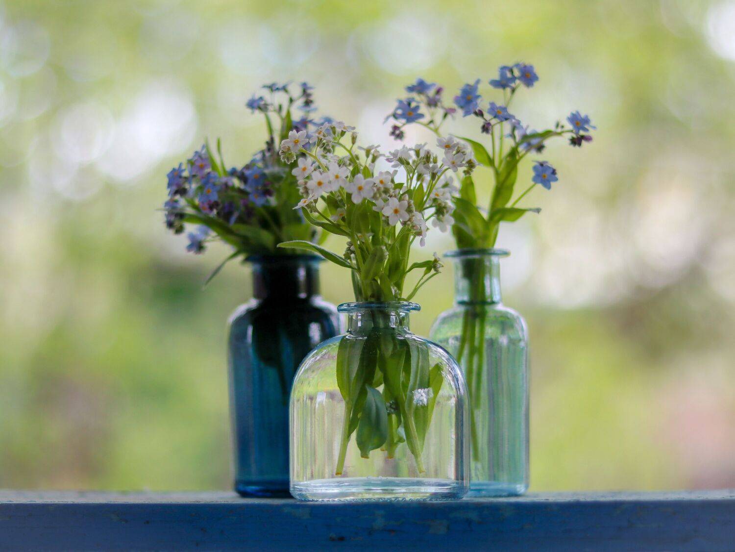 Photo #13653924