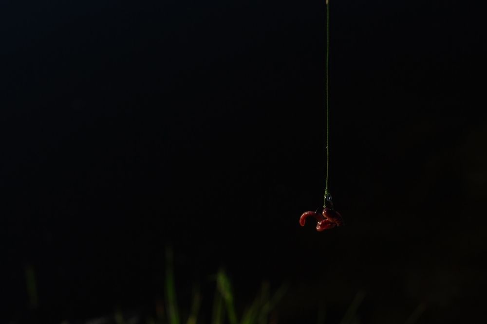 Photograph by Алена Пупышева