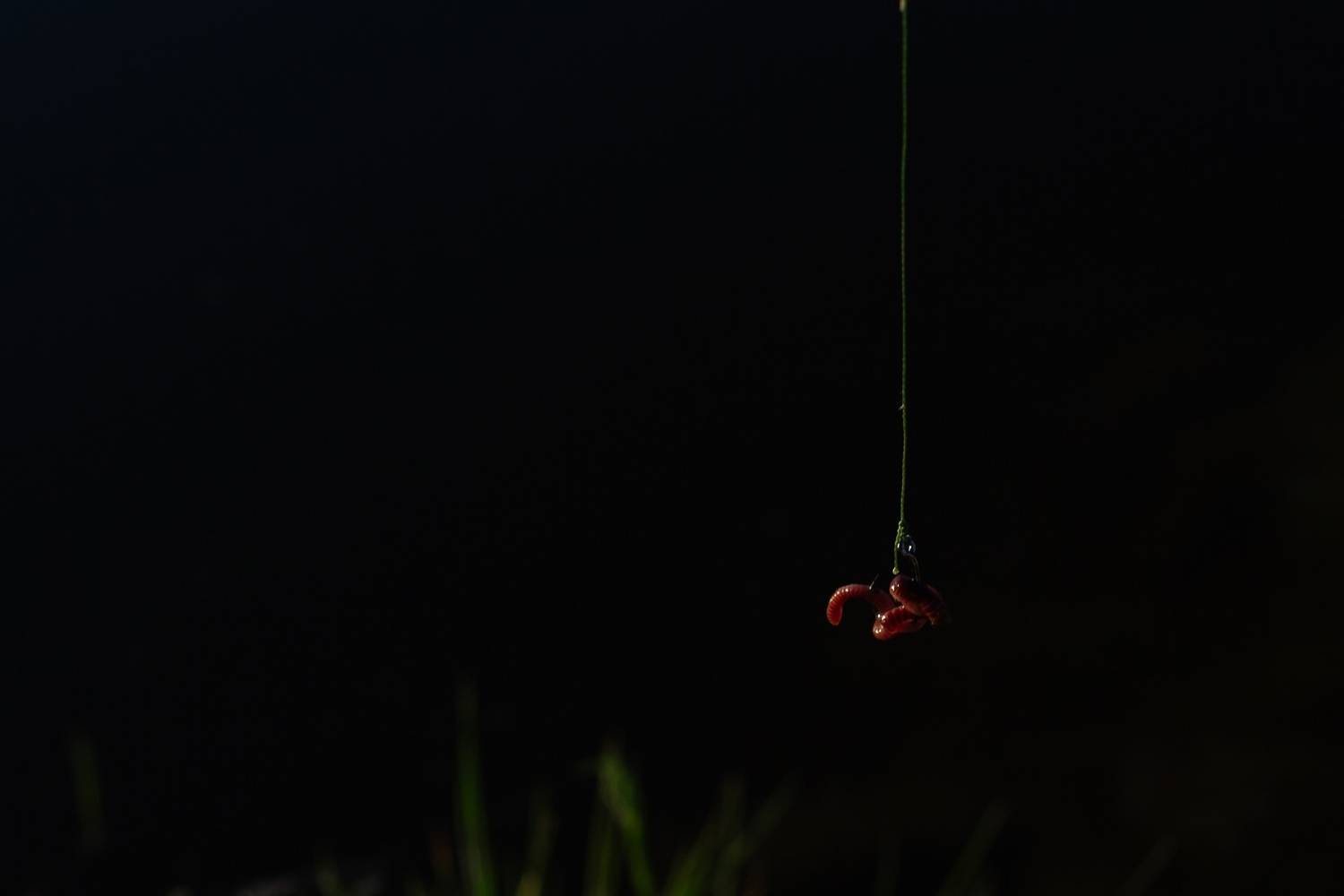 Photo #13653941