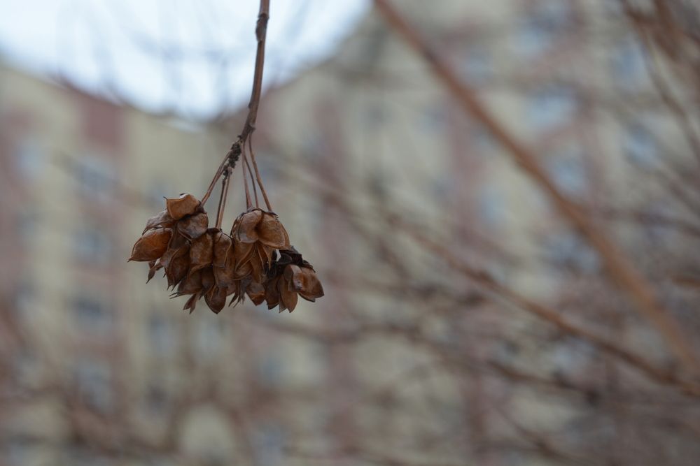 Photograph by Юлия Просвирякова