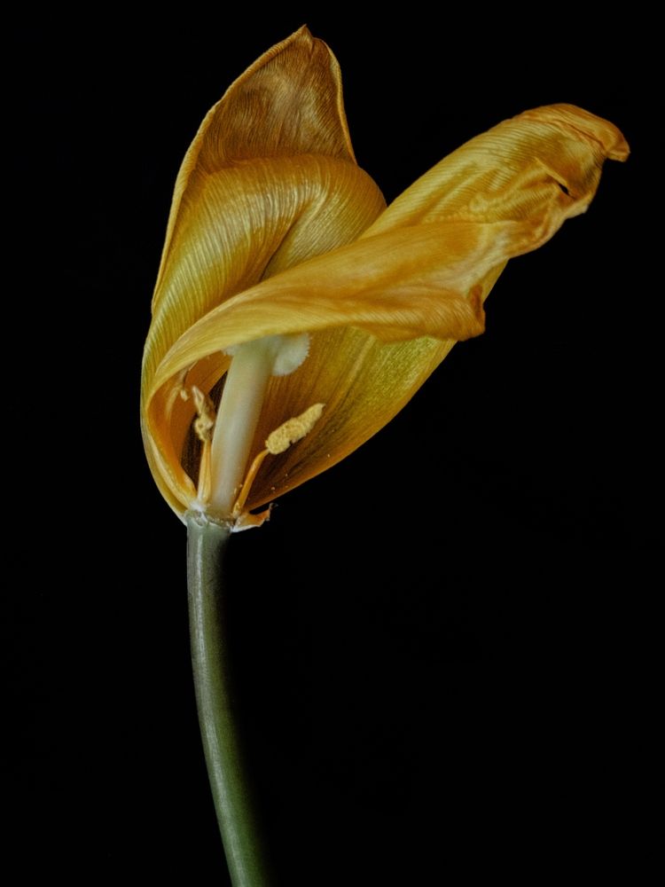 Photograph by Олена Уманцева