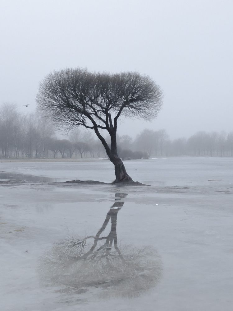 Photograph by Анастасия Алтабаева
