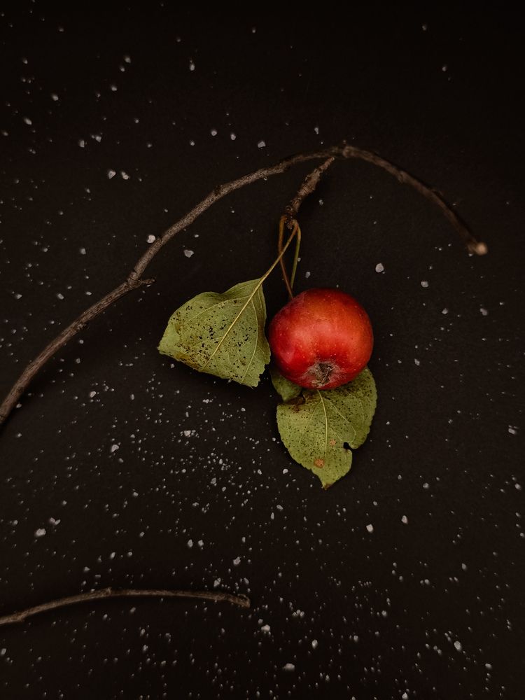 Photograph by Наталья Чурашова