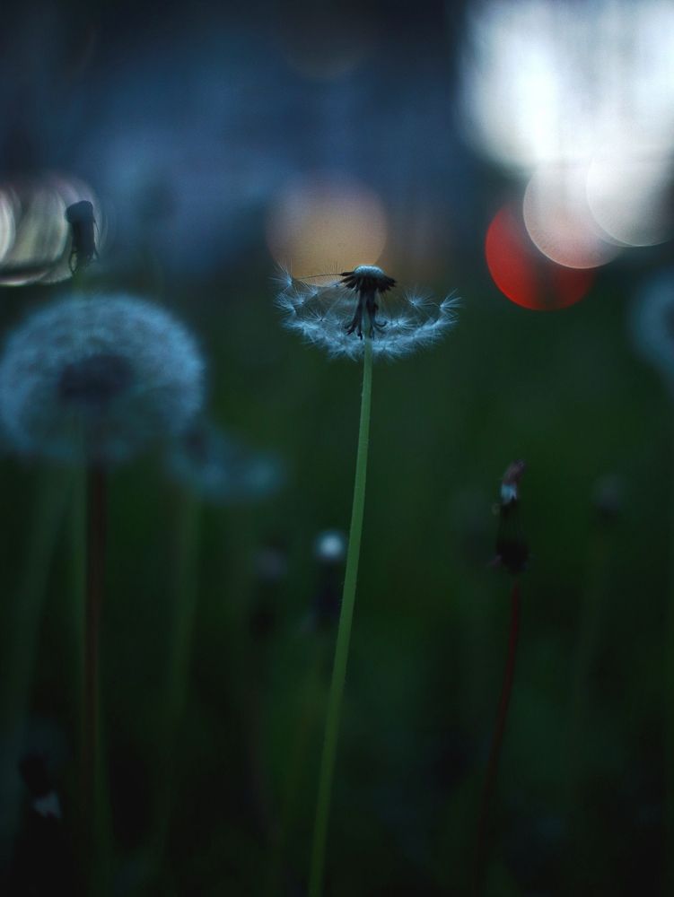 Photograph by Светлана Алехина