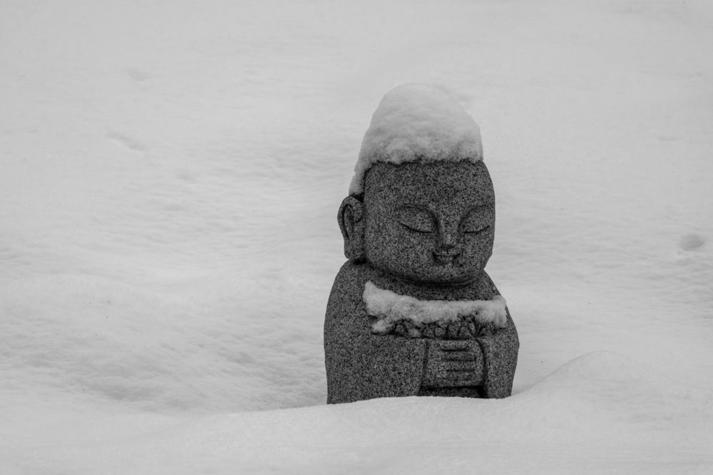 Photograph by Анастасия Богомолова