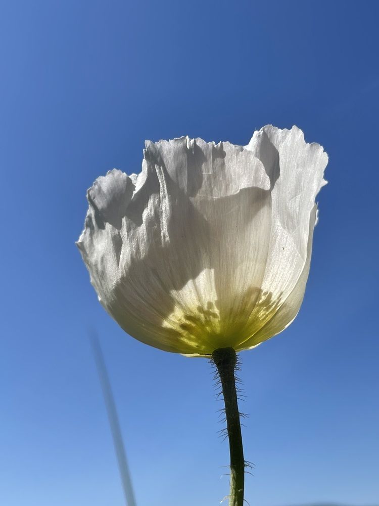 Photograph by Татьяна Баранова