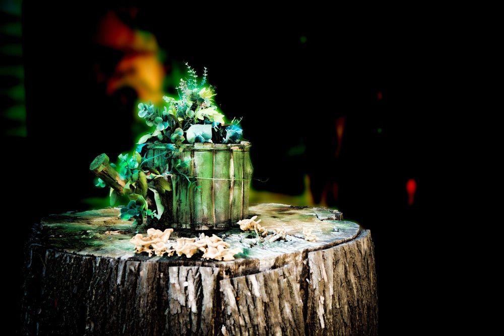Photograph by Oleg Chemodanov