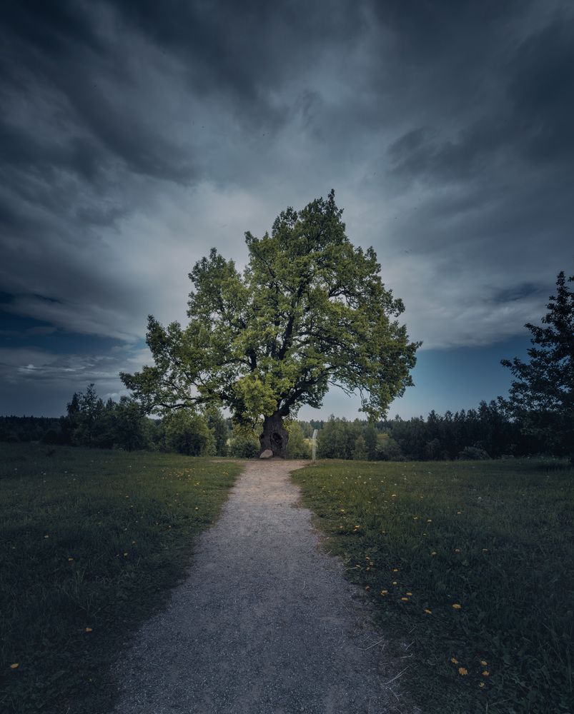 Photograph by Dinara Tleshaeva