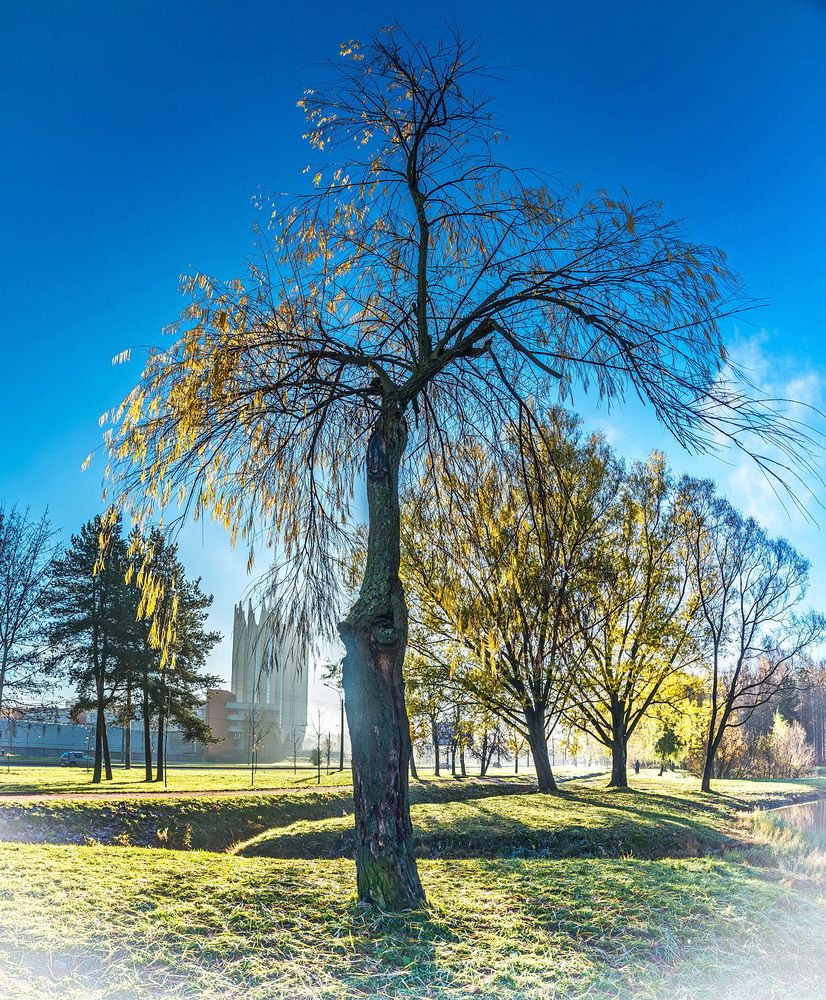 Photograph by Валерий Смирнов