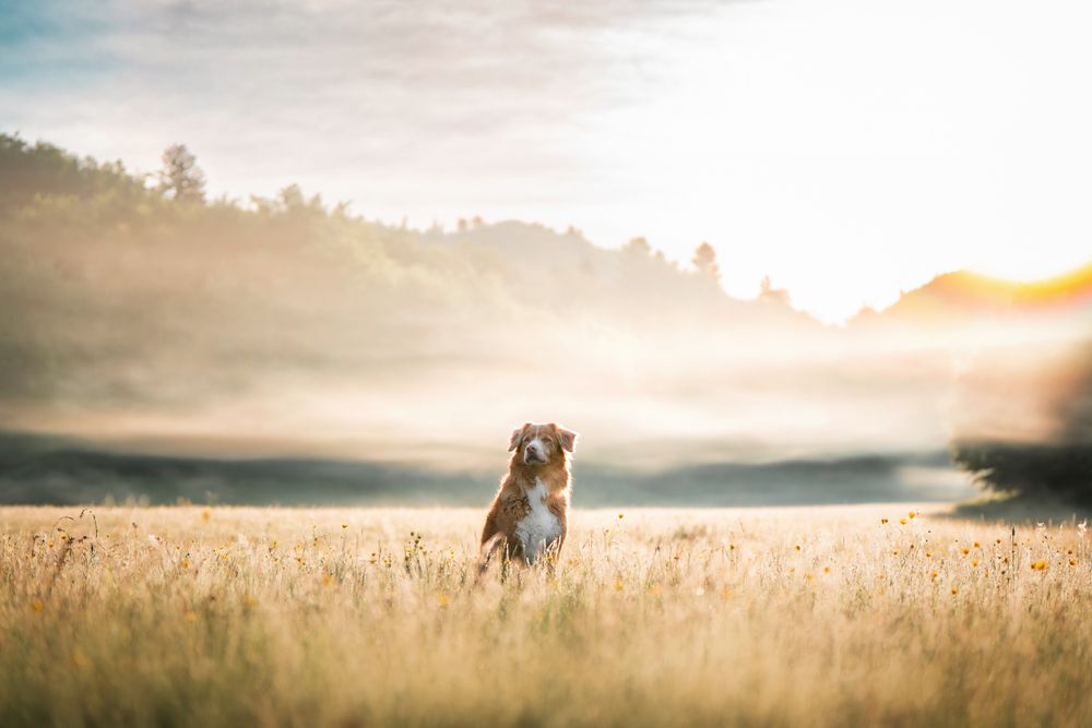 Photograph by Андрианова Ирина