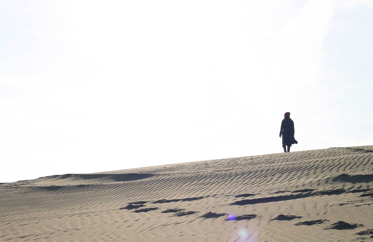Photo #13654536