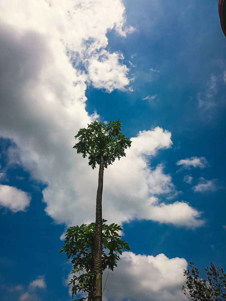 Фотография автора Souvik Bhattacharyya