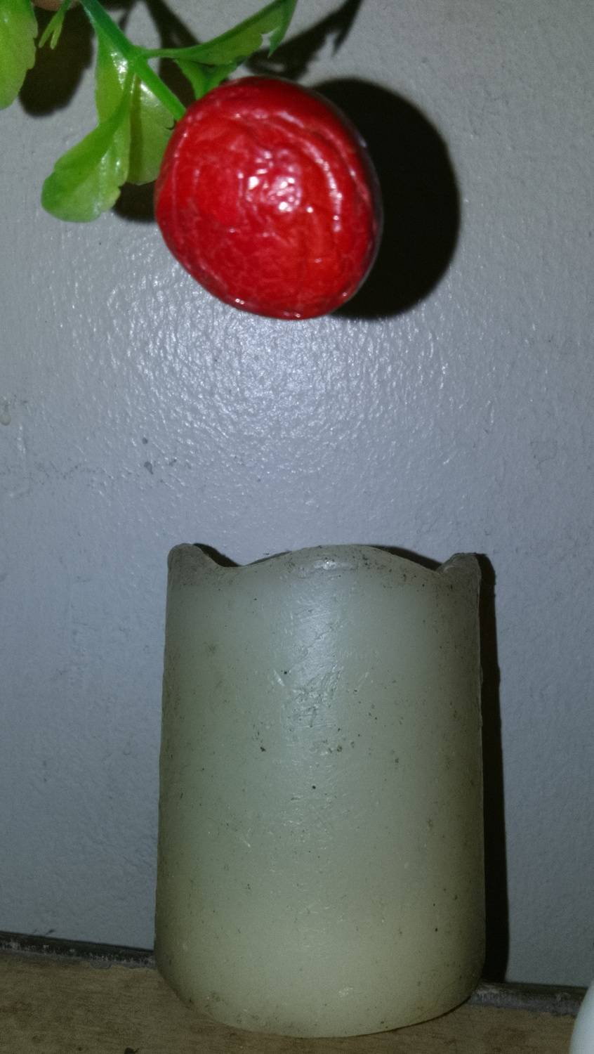 Photo #13654630