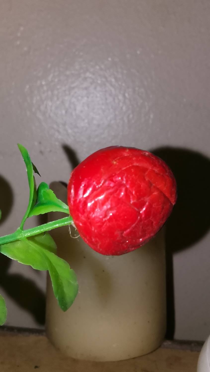Photo #13654631