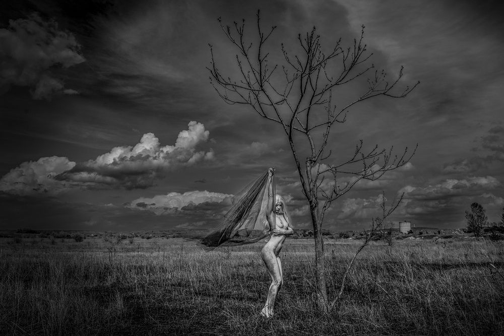 Photograph by Ovi D Pop
