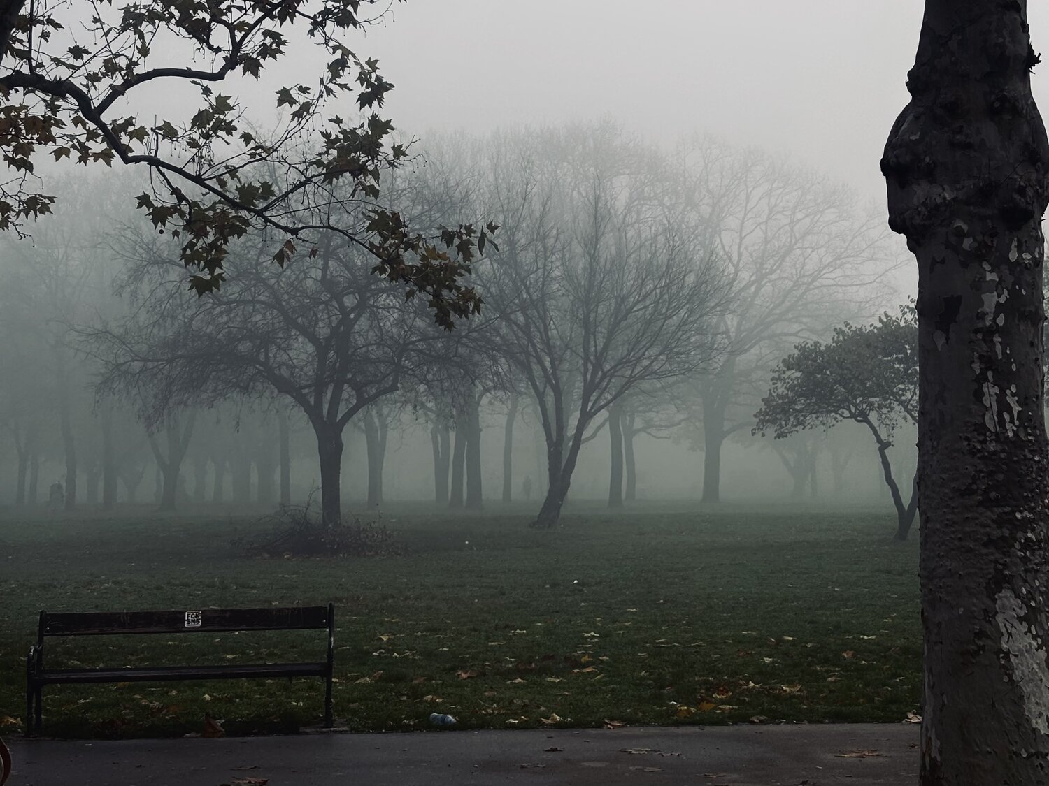 Photo #13654690