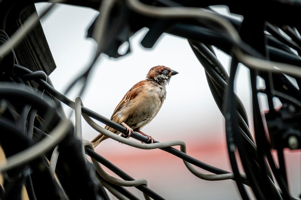 Photograph by Minh Thuan Nguyen