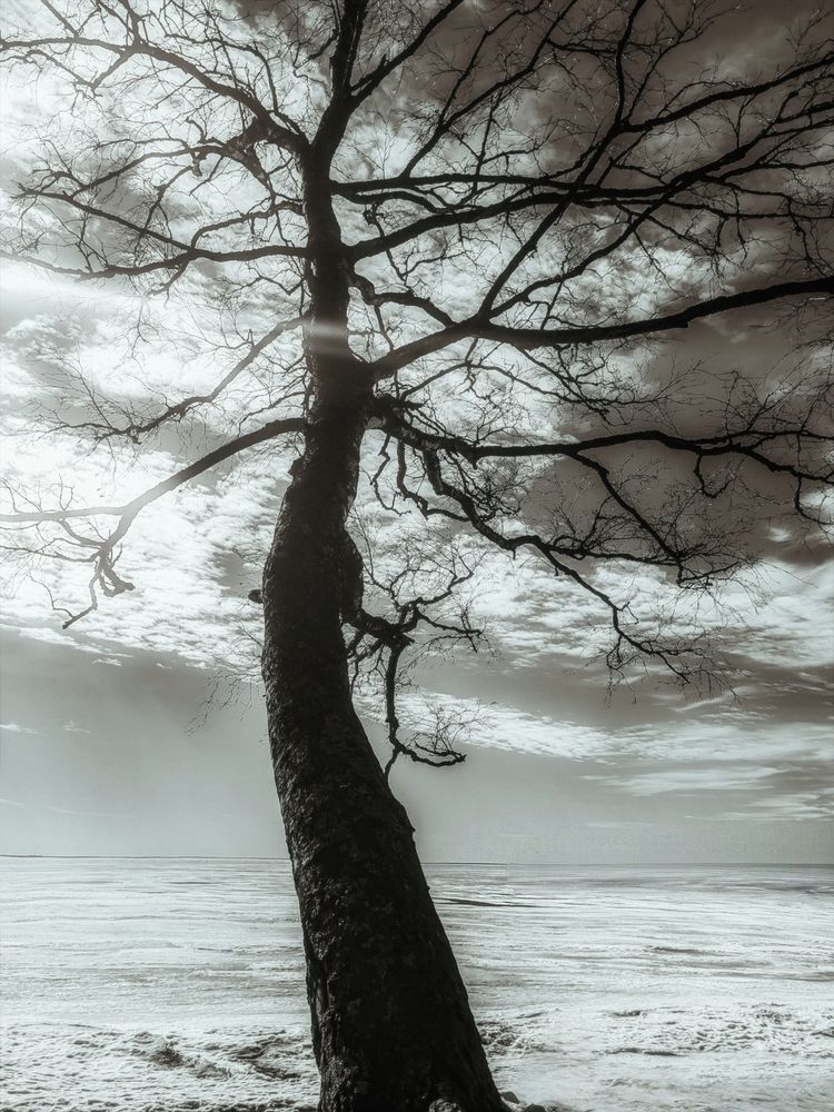 Photograph by Мария Самохвалова