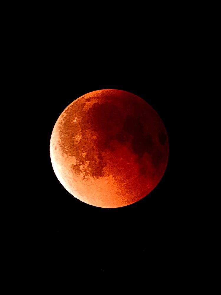 Photograph by Егор Жук