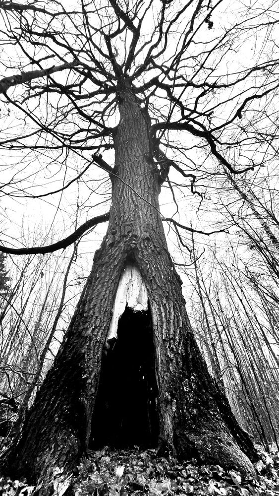 Photograph by Егор Жук
