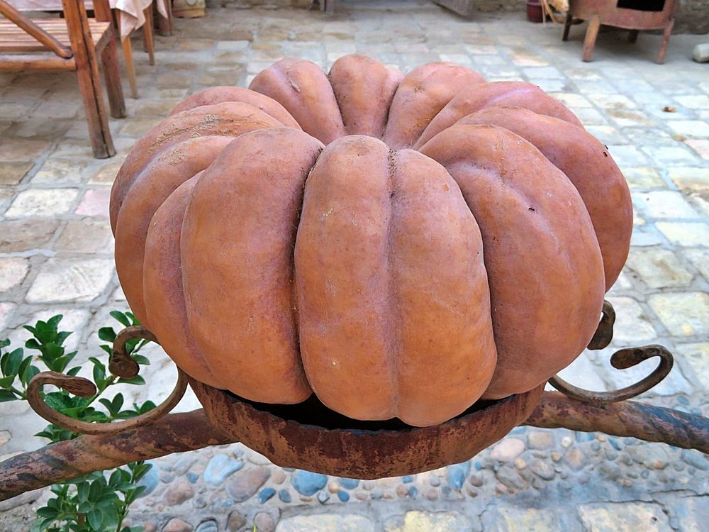 Big pumpkin