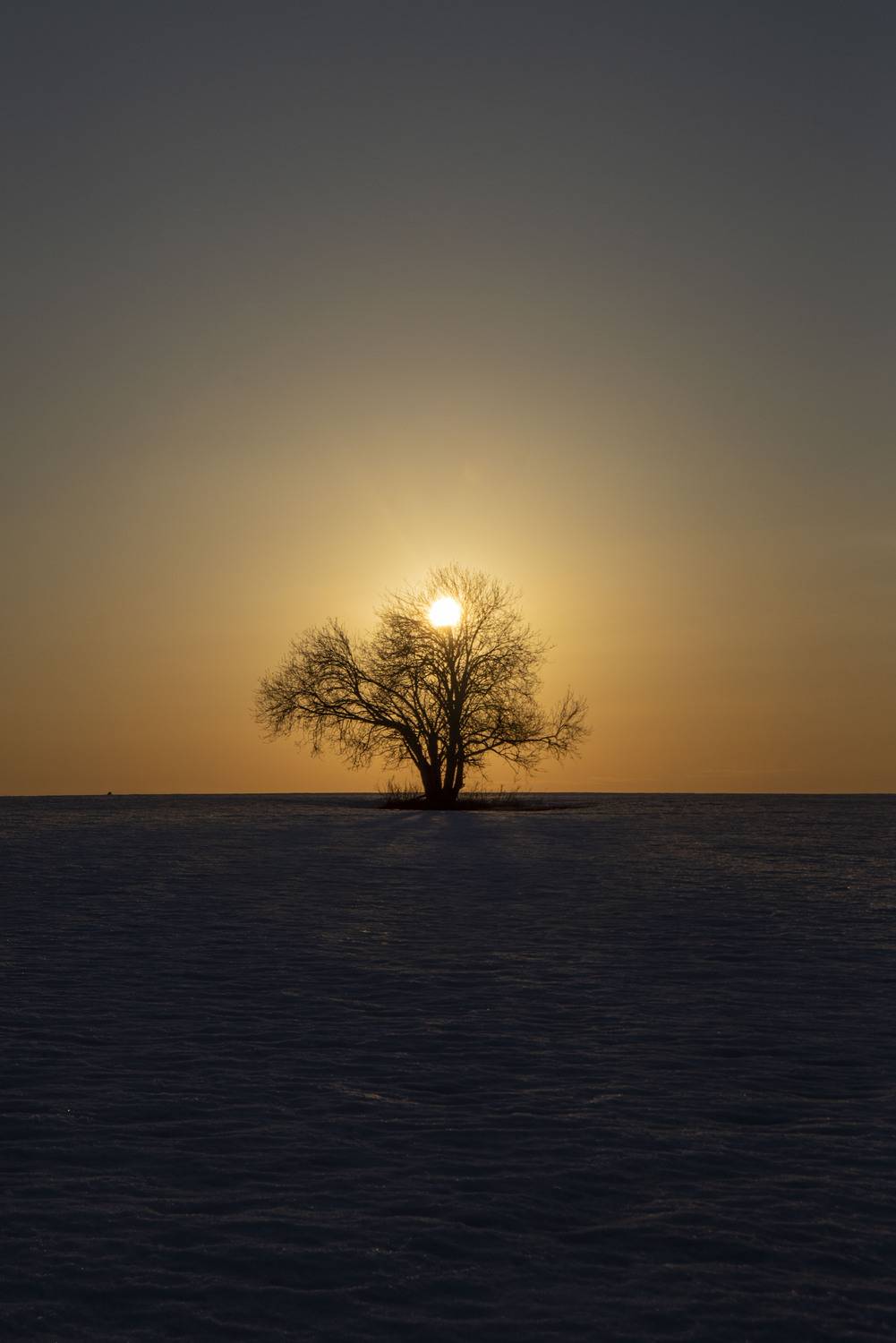 Photo #13654808