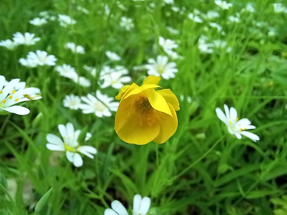 Photograph by Людмила Сотникова