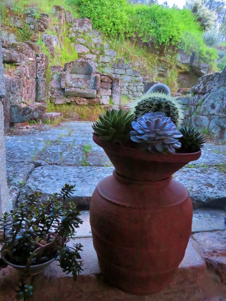 Street still life II