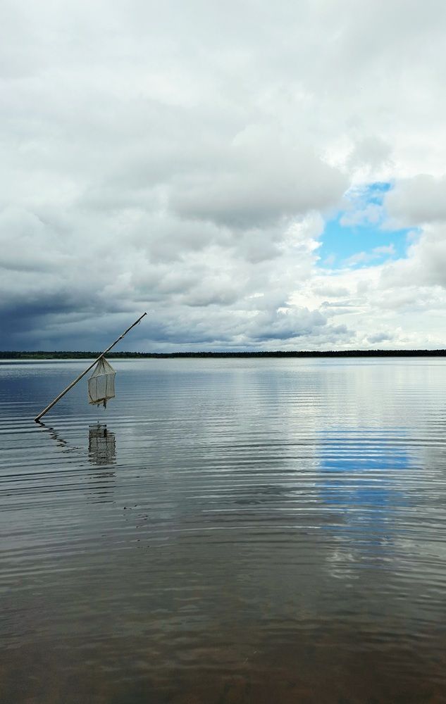 Photograph by Валентина Сергеева