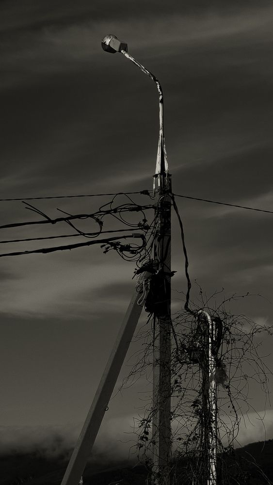 Photograph by Constantine Popov