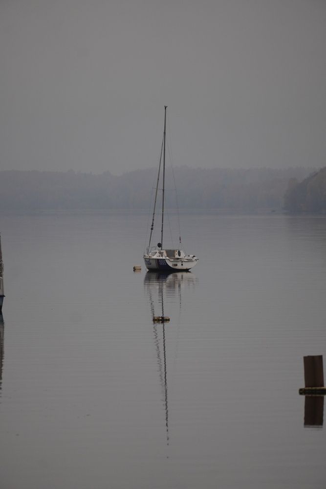 Photograph by Алфия Бугакова
