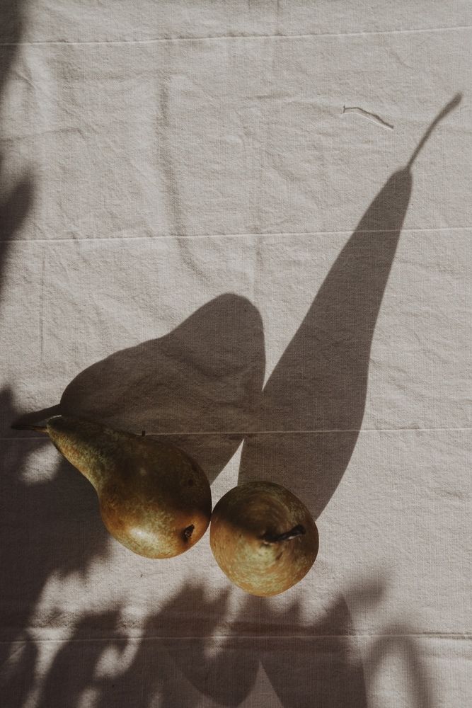 Photograph by Julia Smilovitsky
