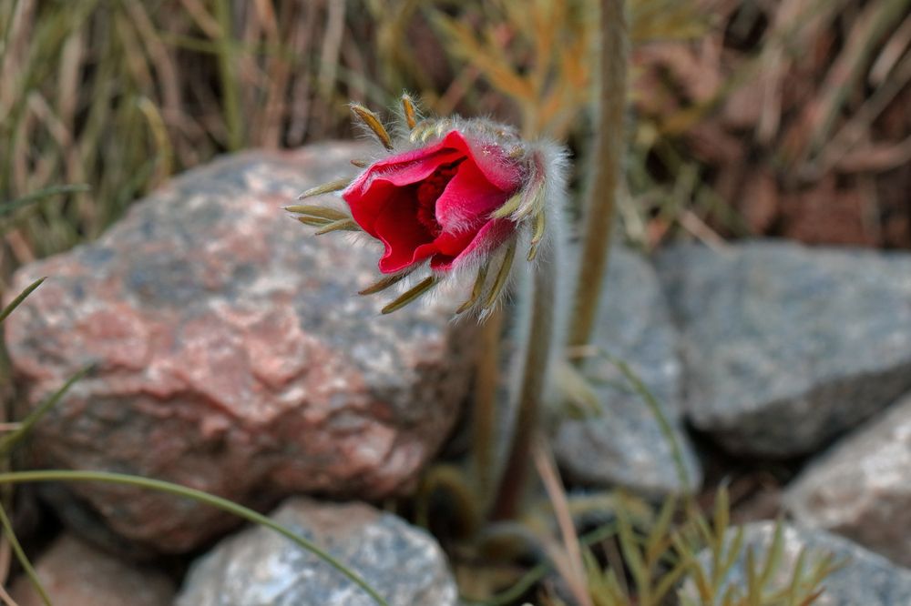 Photograph by Светлана Долотова