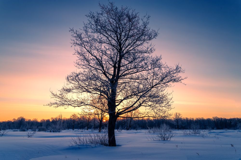 Photo #13655039