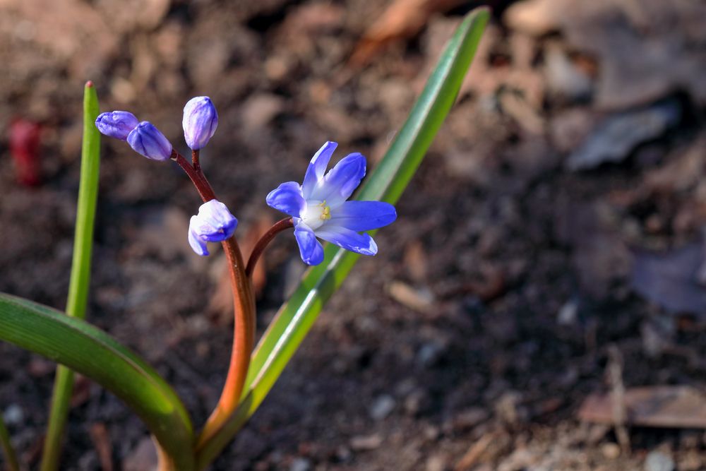 Photograph by Светлана Долотова