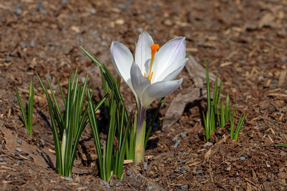 Photograph by Светлана Долотова