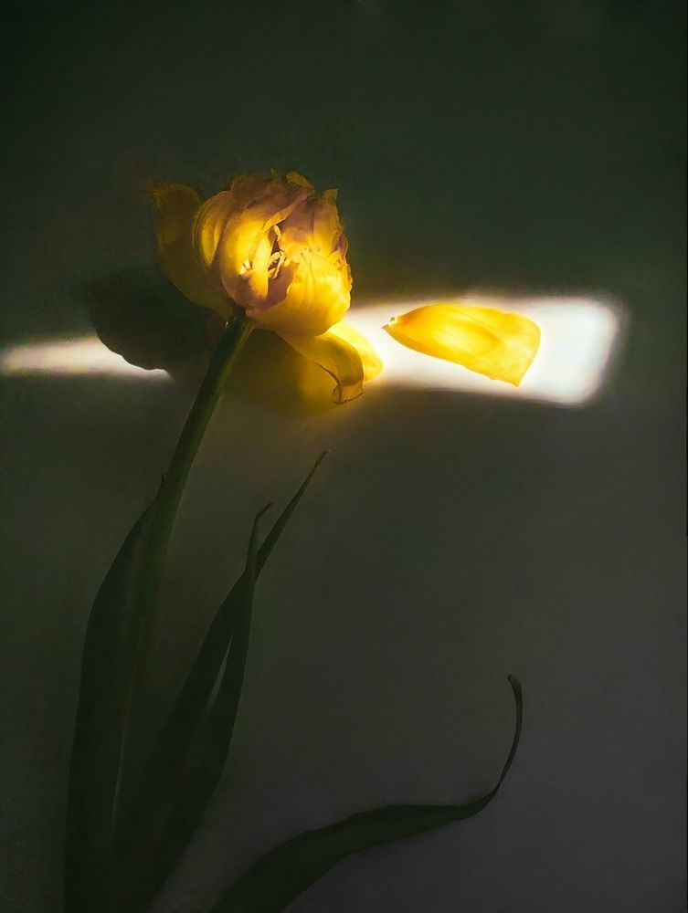 Photograph by Мария Самохвалова
