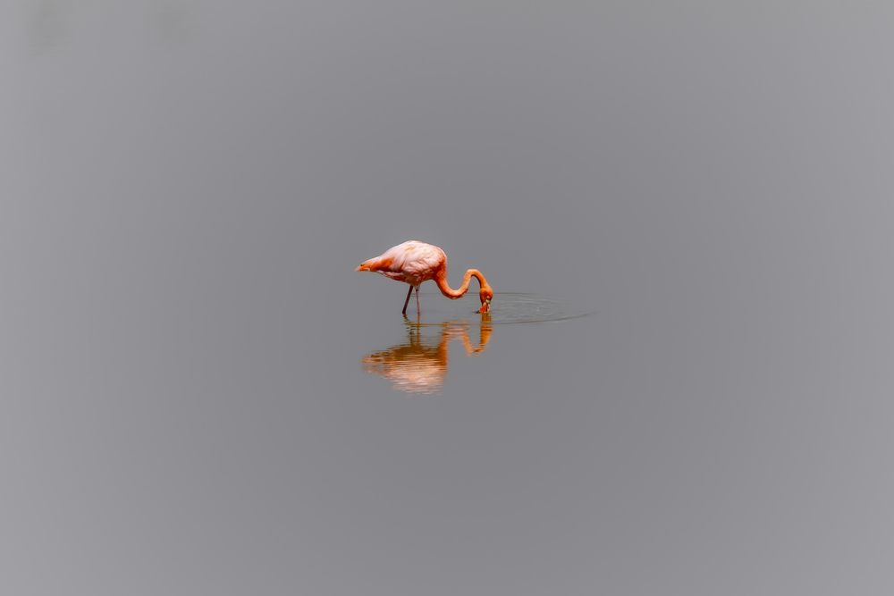 Photograph by Leszek