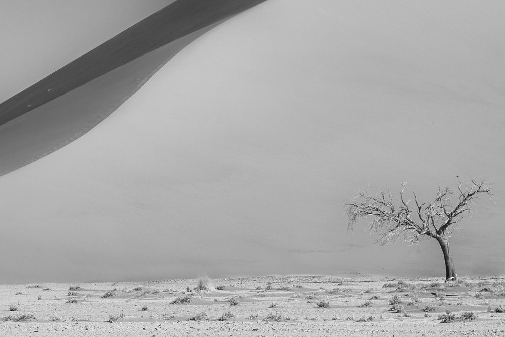 Photograph by Leszek