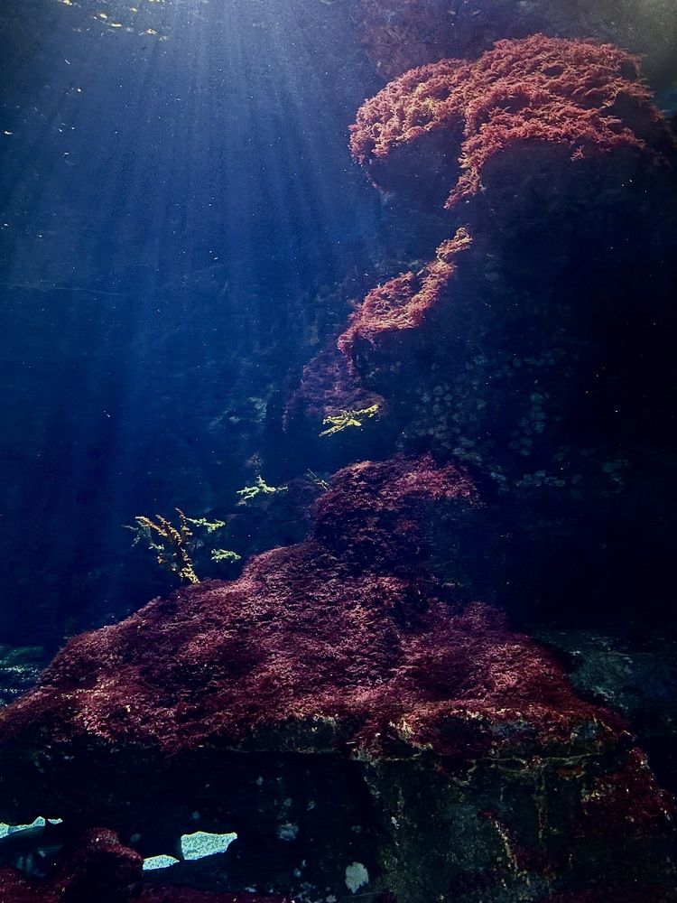 Photograph by Оксана Захарова