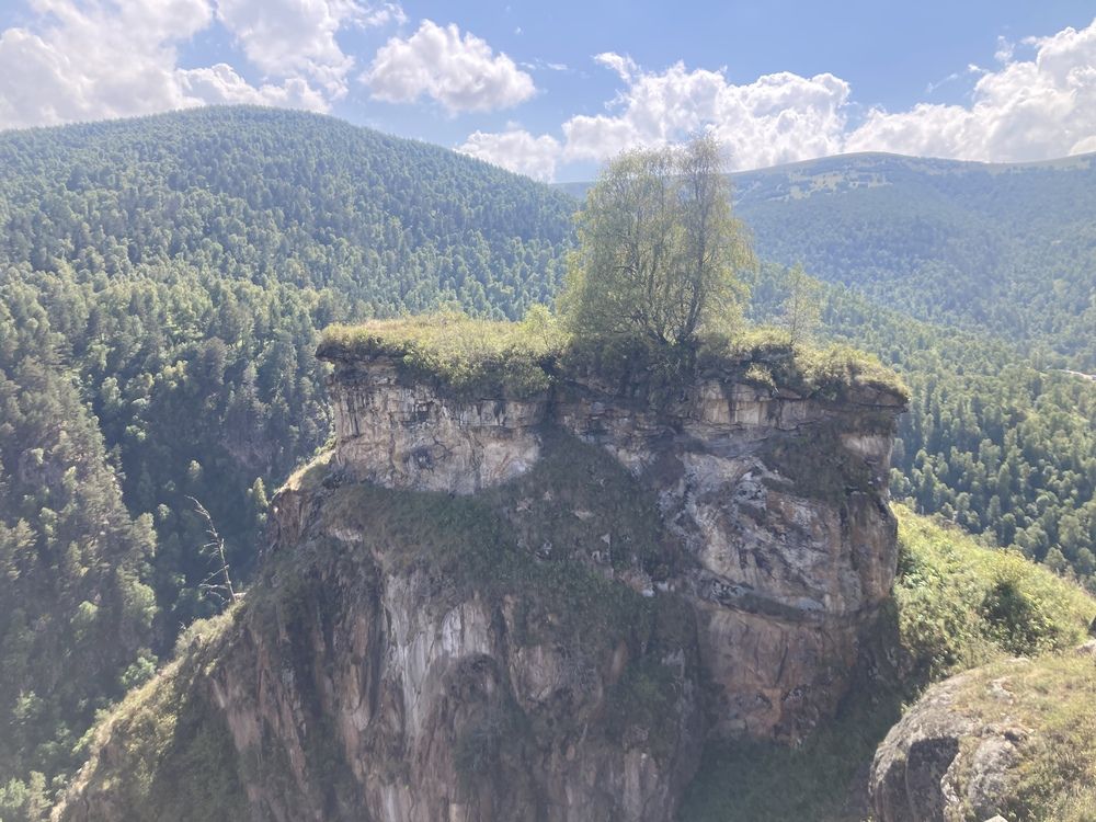 Фотография автора Светлана Парамонова
