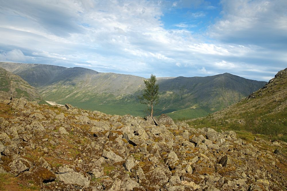 Photograph by Борис Чернов