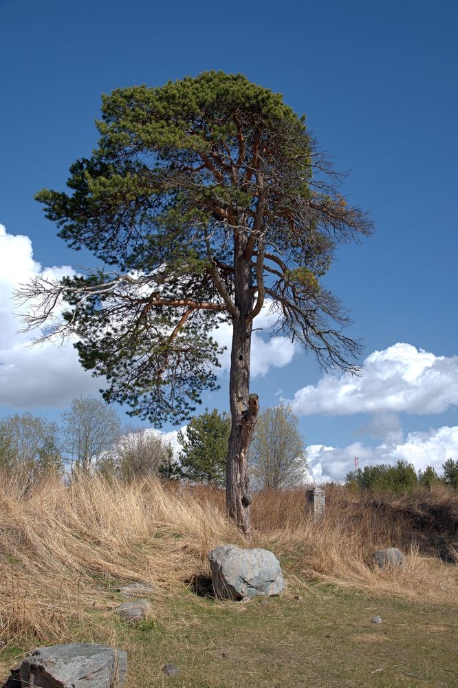 Photograph by Борис Чернов