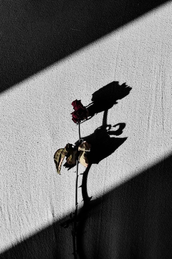 Photograph by Марк Заславець