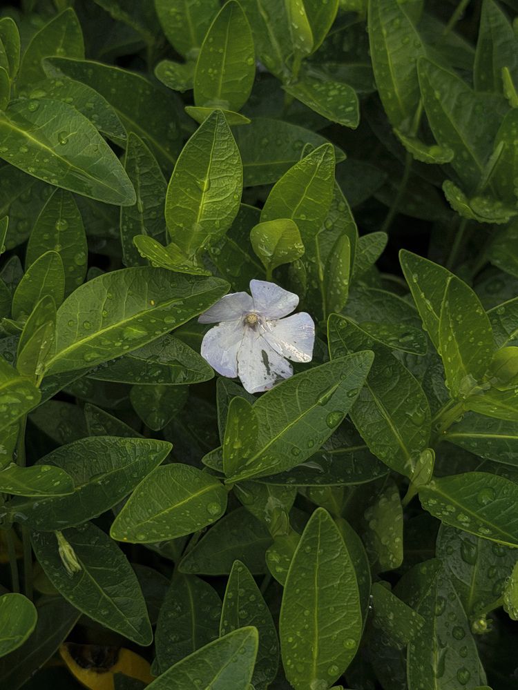 Photograph by Диана Киреева