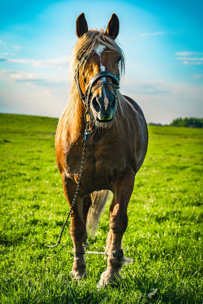 Photograph by Vitaly Zubkov