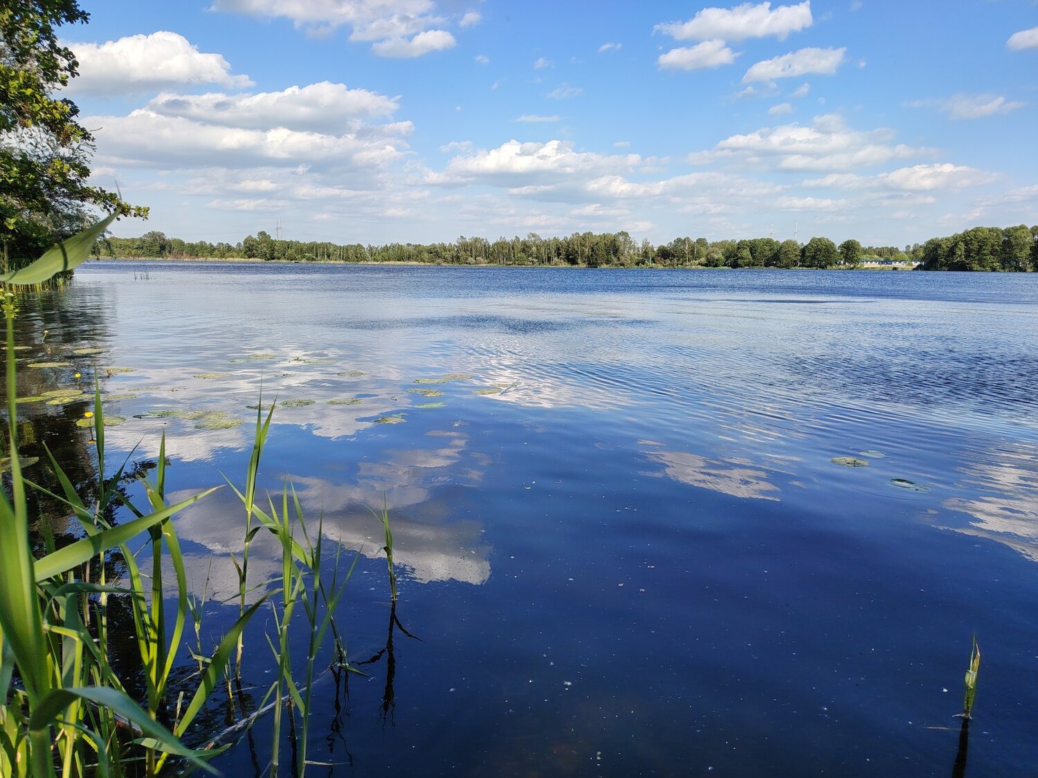 Photo #13655383