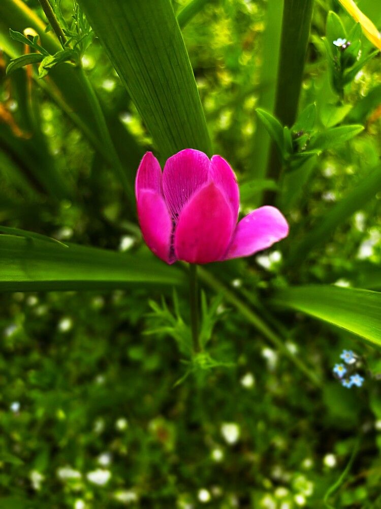 Photograph by ОЛЬГА ДЕРБЕНЕВА