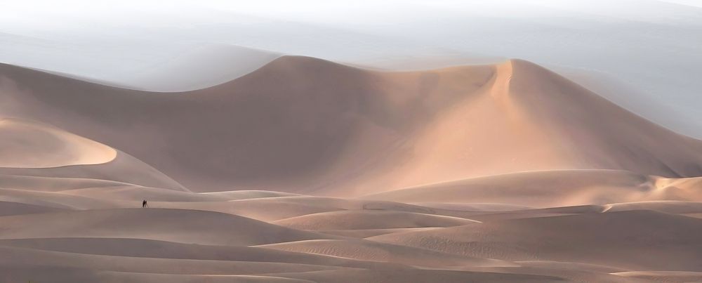 Mesquite Flat Dunes