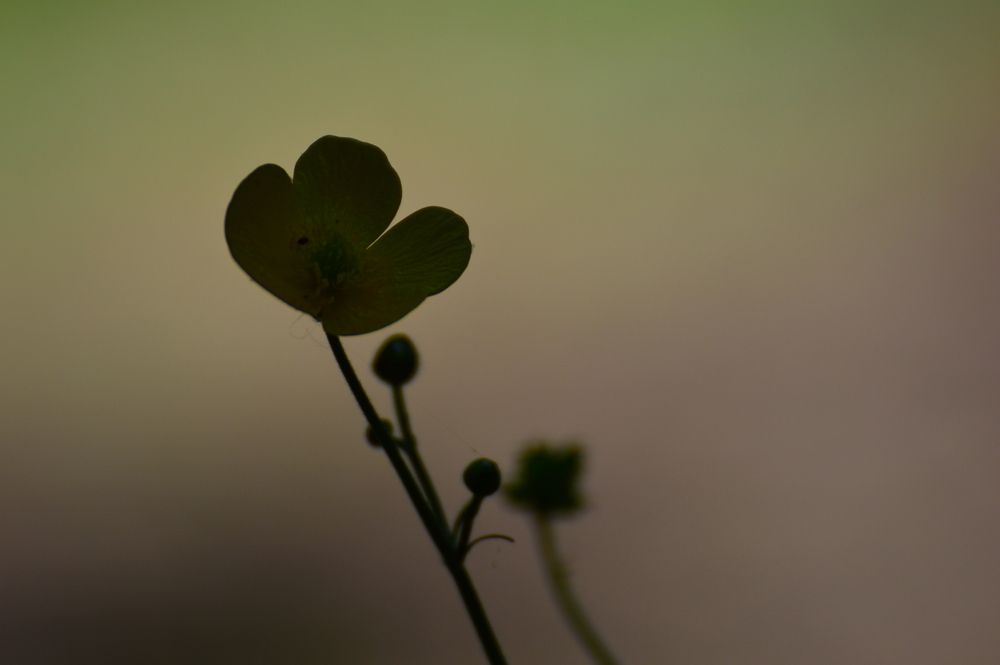 Photograph by Mihaela Vidicek